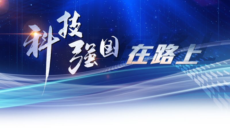 轻量级AI应用工具：如何选择适合你的解决方案